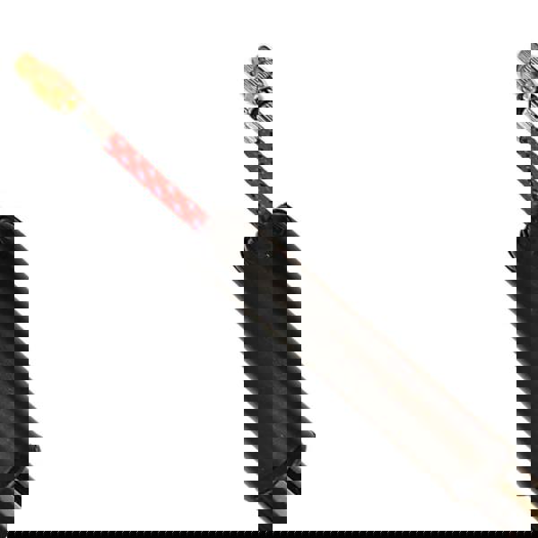 Sport Direct 15" Plastic Bike Pump Dual Schrader/Presta Valve (SV/PV)