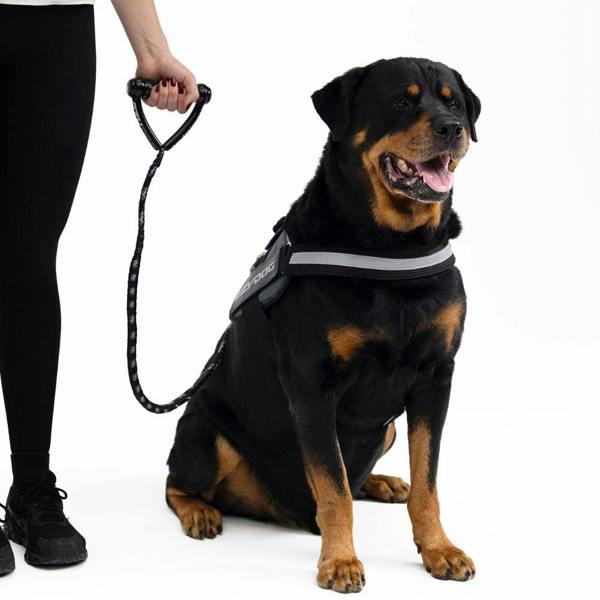 EzyDog Cujo Dog Lead in Red