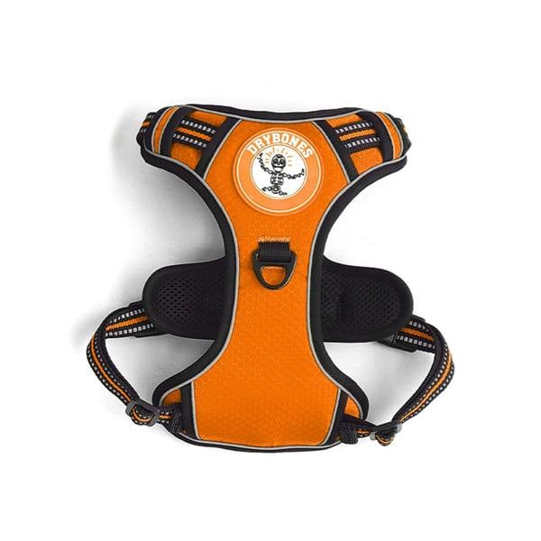 DRYBONES Dog Harness