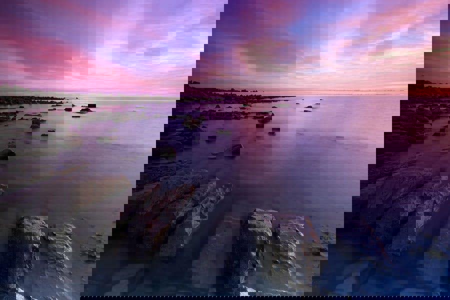 Fernlight Gallery Clavell Point