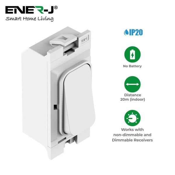 ENER-J Grid Switch with Non Dimmable + Wi-Fi 5A RF Mini Receiver