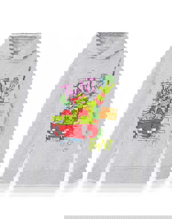 Teenage Mutant Ninja Turtles Boys Grey Shell Skater Hoodie