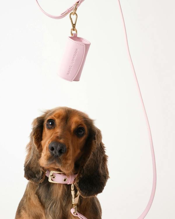 Barc London Blush Pink Dog Collar