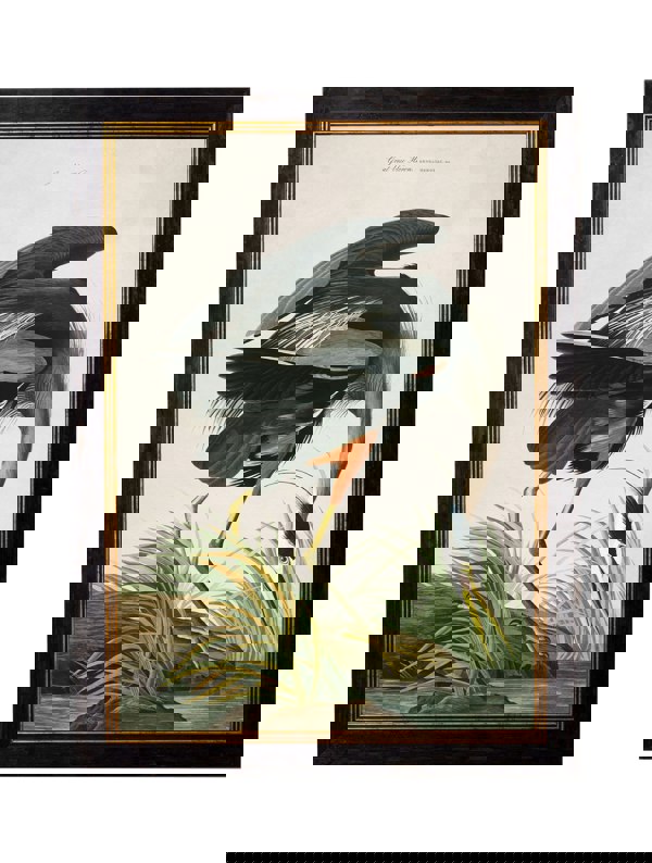 Exceptional Art c.1838 Audubon's Great Blue Heron