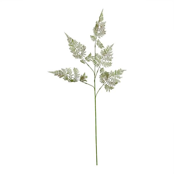 Wyld Haus Set of 3 Artificial Flowers Large Bracken Fern Sprays