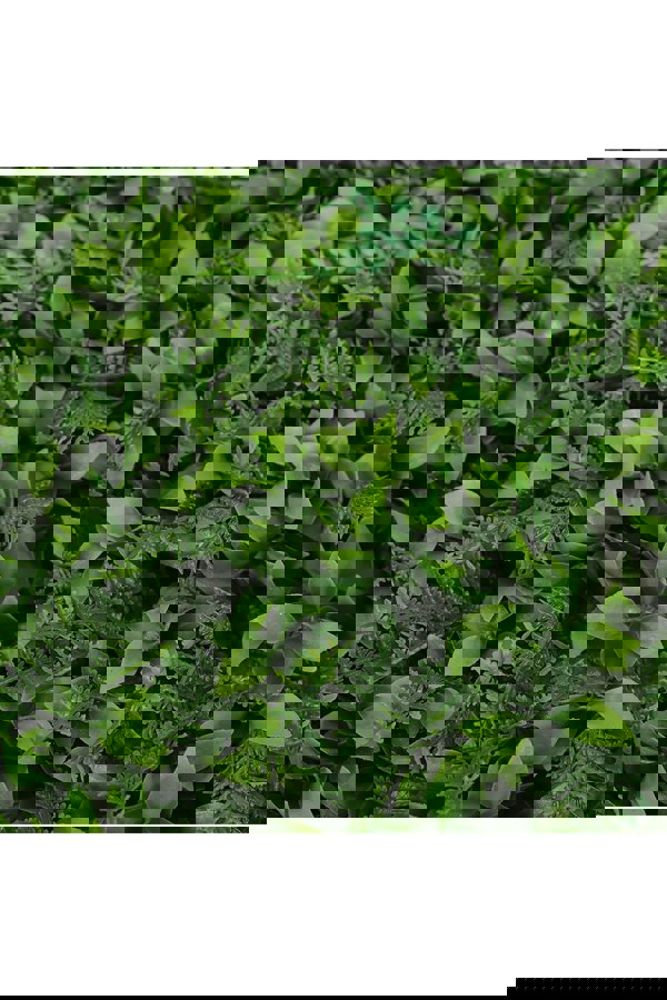 Living and Home 40 x 60cm Artificial Plant Wall Hedge Greenery Panel