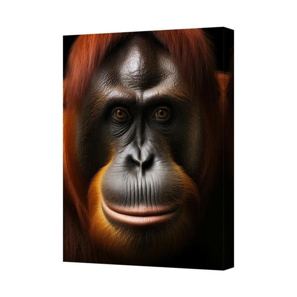 Benjamin Tate Design Orangutan Face Canvas Wall Art Print HD Giclee Quality 6675