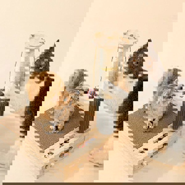 Bud's Toy, ScratchingPost, Cat Scratchers-Weilai concept-Weilai Concept