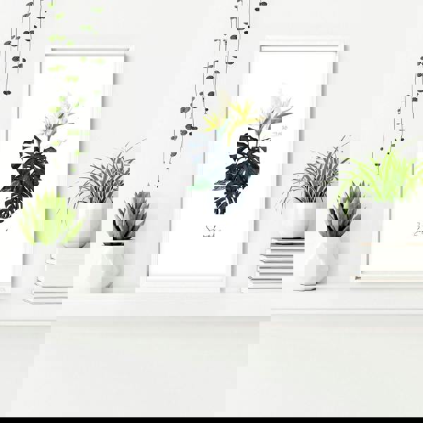 Decoration for bathroom walls | Set of 3 Tropical wall art