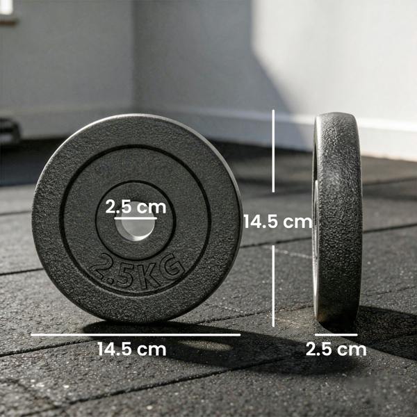Dumbbell Discs