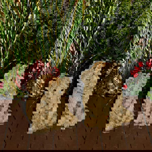 Limited Edition Adorable Baby Mammoths Duo Manny and Ellie Elephants 