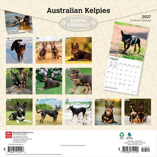 Australian Kelpies Calendar 2027, Wall Calendars, Month To View, Dogs, Gift