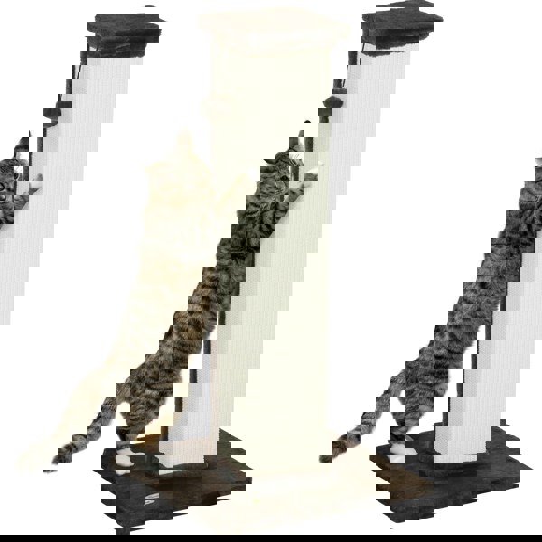 D30-663V00BN