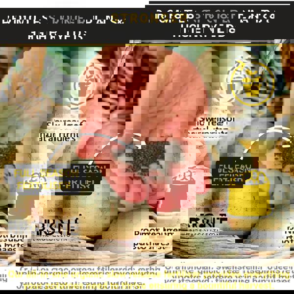 Bronte Heritage Potato Fertiliser 1kg – Organic, slow-release formula for stronger roots & larger tubers. Full-season feed with guide