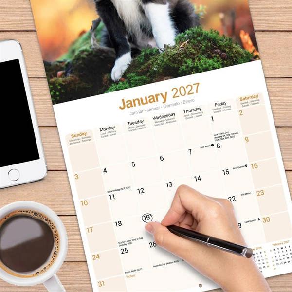 Border Collie Puppies Calendar 2027, Wall Calendars, Month To View, Dogs, Gift