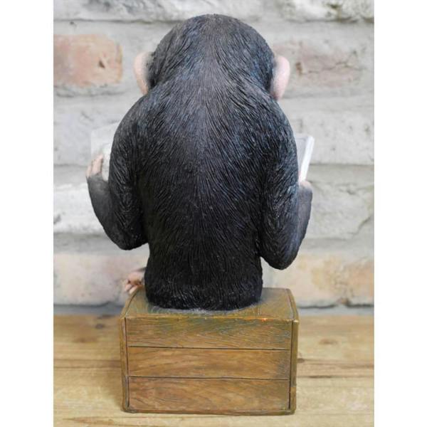 Cute Monkey Reading The News