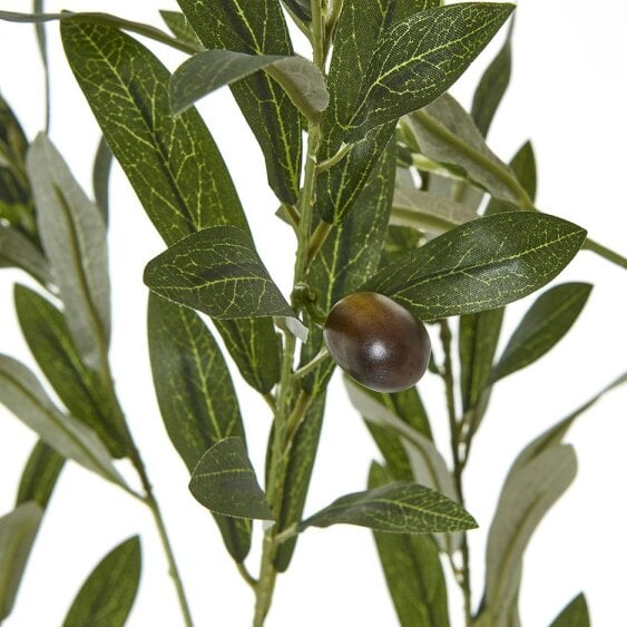 Wyld Haus 180cm Tall Mediterranean  Artificial Olive Tree In White Ceramic Pot