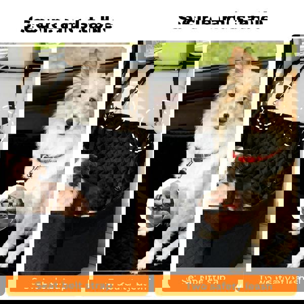 Skylos Large Dog Booster Car Seat Travel Carrier Bed Basket for 2 Small Pets