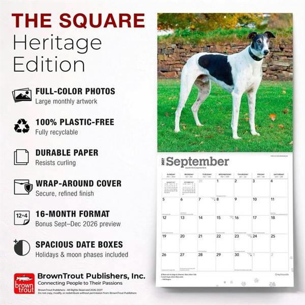 Greyhounds Calendar 2027, Wall Calendars, Month To View, Dogs, Gift