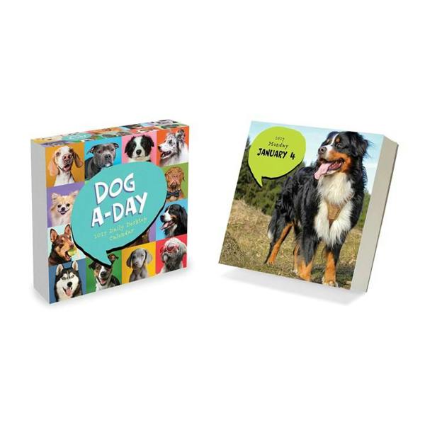 Dog A Day Desk Calendar 2027, Desk Calendars, Day To View, Dogs, Gift