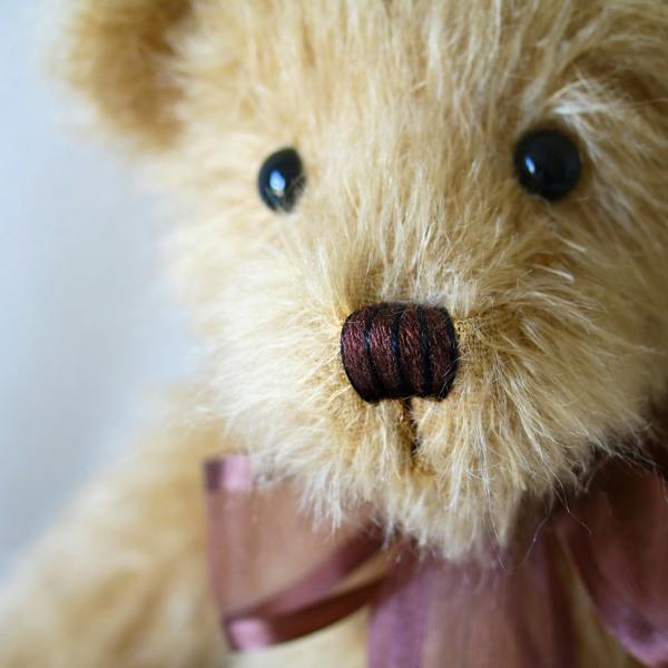 Canterbury Bears Ramsey