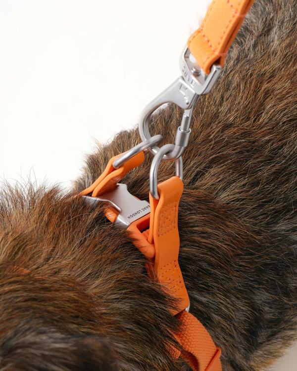 Barc London Mandarin Orange Dog Harness