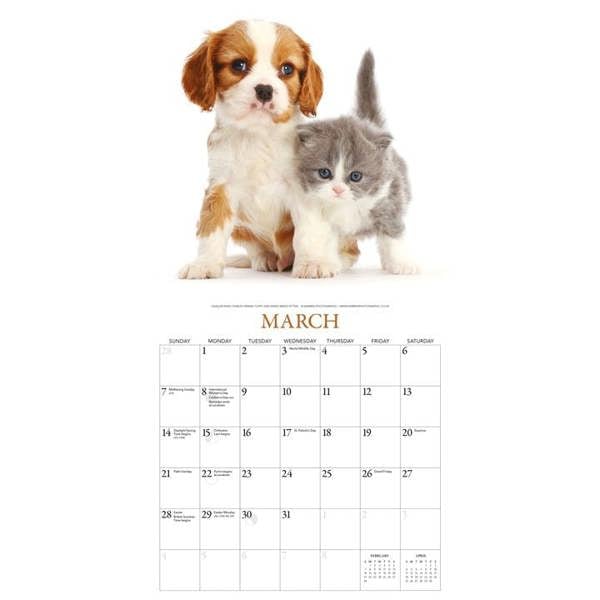Unbranded Kittens & Friends Calendar 2027, Wall Calendars, Month To View, Cats, Gift
