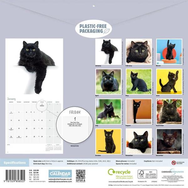 Black Cats Calendar 2027, Wall Calendars, Month To View, Cats, Gift