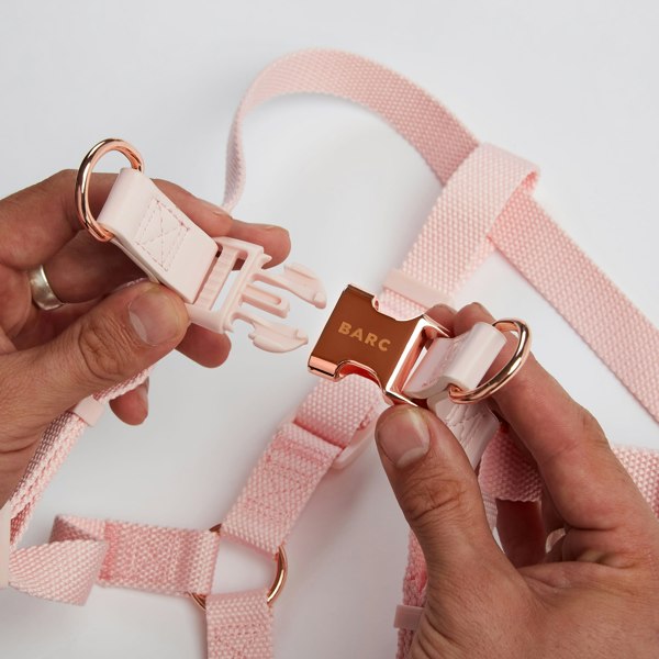 Dog Harness with Pink and Rose Gold Buckle by Barc London