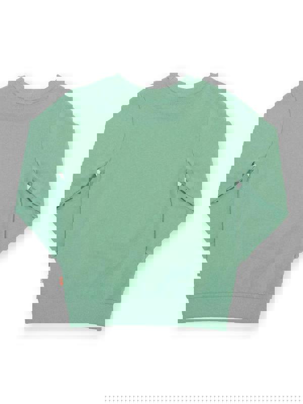 Kite Boys Organic Orangutan Sweatshirt