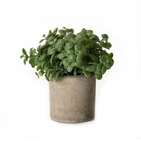 Hill Interiors Basil Artificial Plant - Green