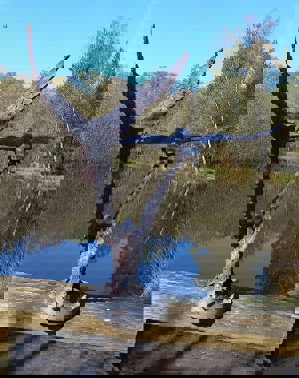 Inspirational Gifting Set of 3 Flying Ducks Garden Sculpture Ornament Decor