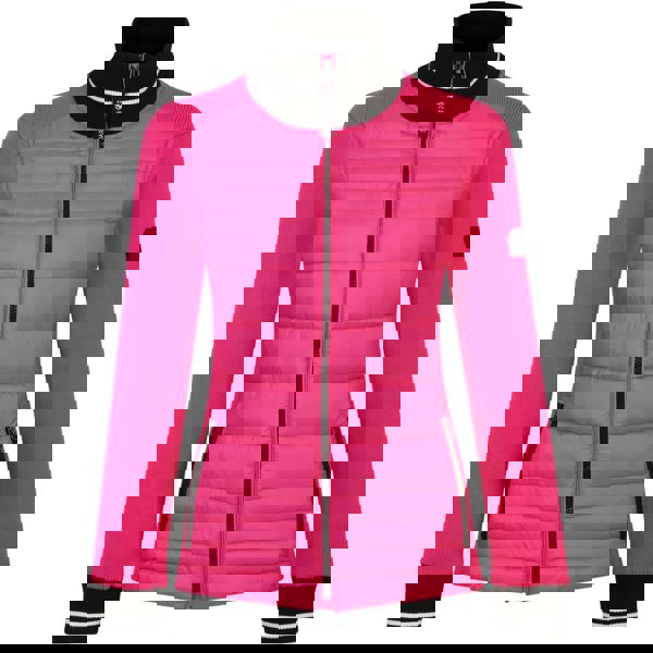 Dare 2B Womens/Ladies Icy Hybrid Padded Jacket - Pure Pink - 