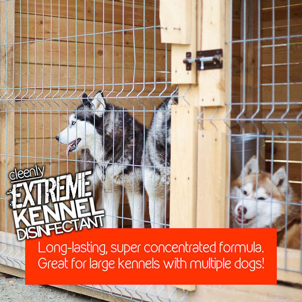 Cleenly Extreme Kennel Disinfectant, Deodoriser, and Cleaner (5L) - Lavender Fragrance