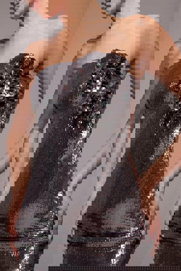 Liquid Sequin Boobtube Midaxi With Corsage - Silver DR4126