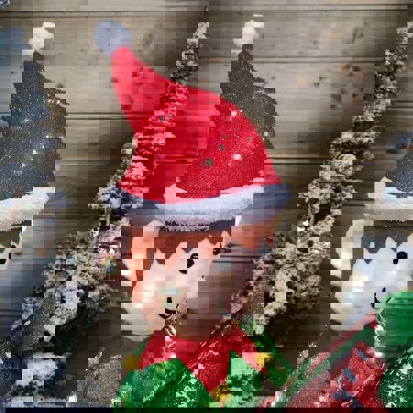 Samuel Alexander 107cm Warm White LED Lit Elf Character with Present Christmas Decoration in Green and Red