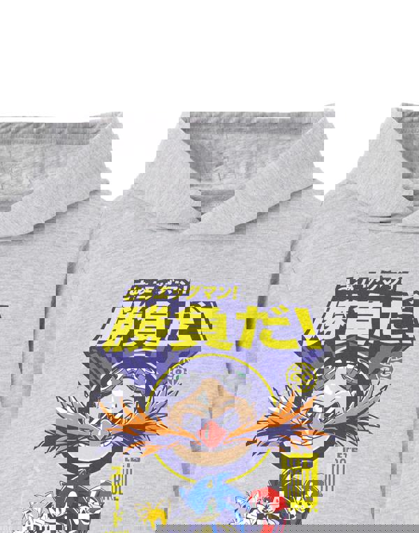 Sonic the Hedgehog Boys Grey Let's Roll Hoodie