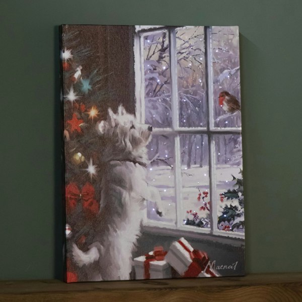 Samuel Alexander 40cm x 30cm Battery Operated Light up Fibre Optic Christmas Dog & Robin Wall Art
