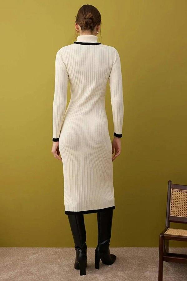 WOVCOR Color Blocked Midi Turtleneck Knit Dress