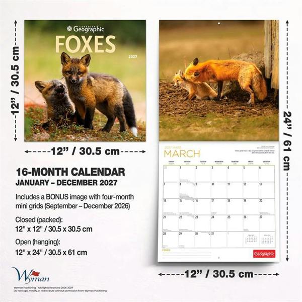 Foxes Calendar 2027, Wall Calendars, Month To View, Animals, Gift