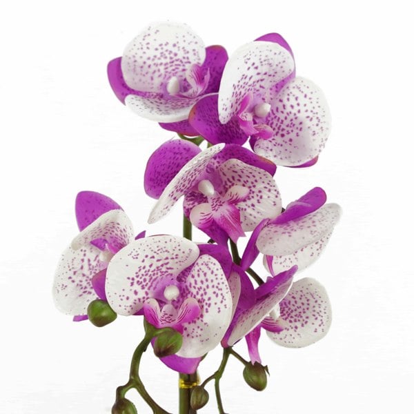 Leaf 50cm Phalaenopsis Orchid Artificial - Purple / White - Gold Pot