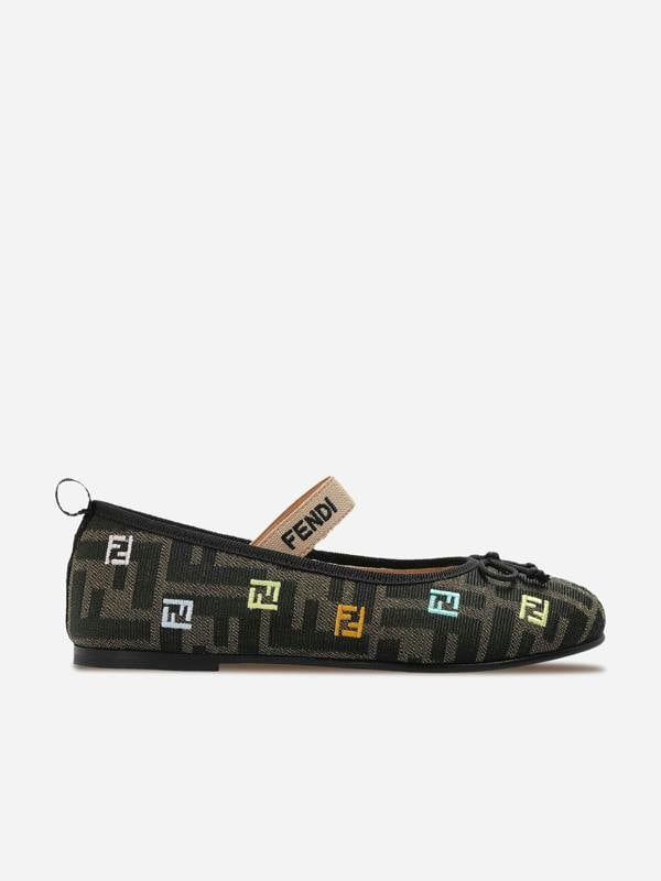 FENS6072_BROWN_1