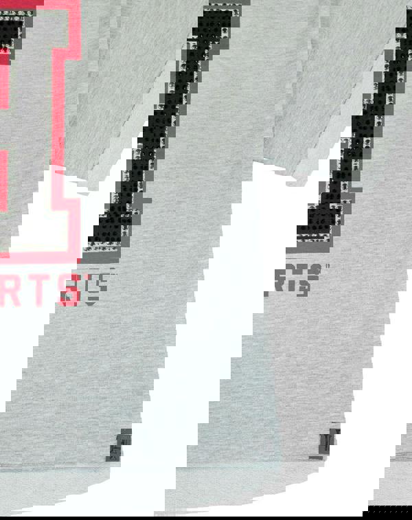 Harry Potter Womens Grey Hogwarts Alumni Text Print Cropped Short Sleeved T-Shirt