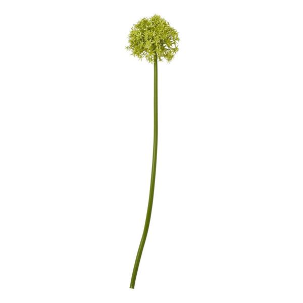 Wyld Haus Set of 3 Artificial Flowers Green Medium Allium Stems