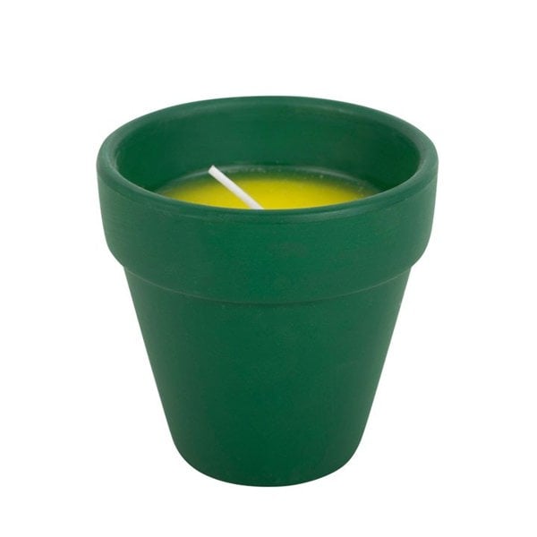 Serano Thank You for Helping Me Grow Citronella Candle