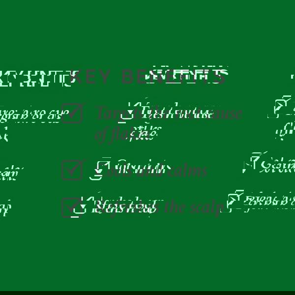 Philip Kingsley Flaky Itchy Dry Shampoo 200 ml