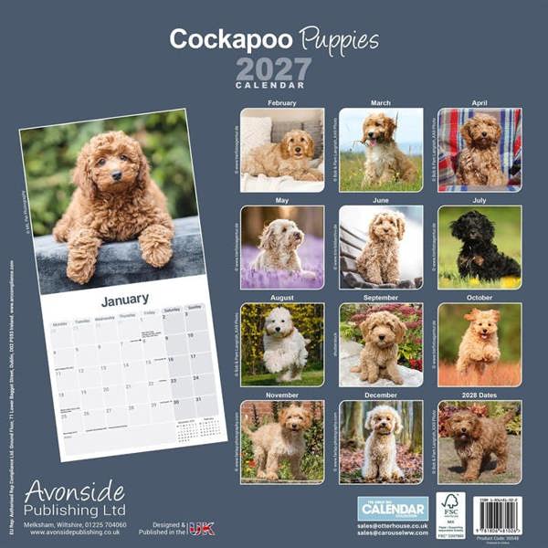 Cockapoo Puppies Calendar 2027, Wall Calendars, Month To View, Dogs, Gift