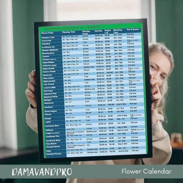 What to plant now – instant sowing calendar for UK gardens