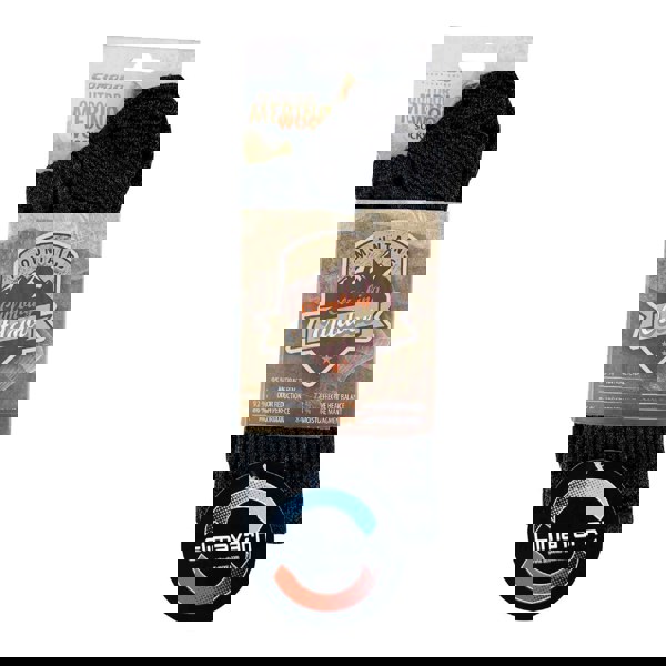 t4option1_0