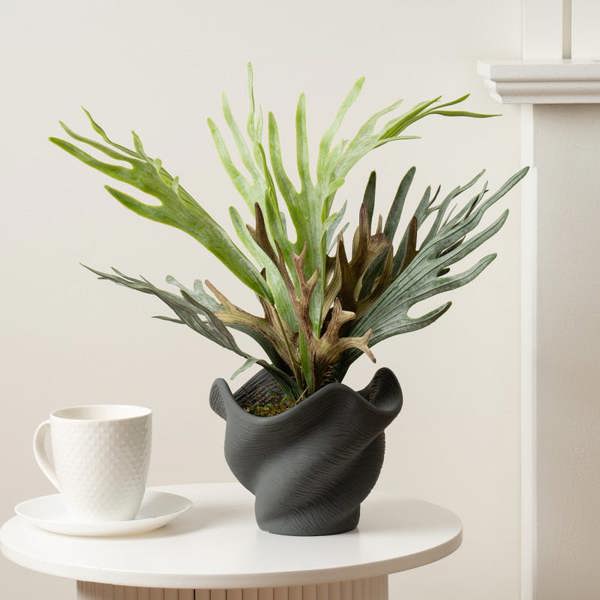 Scottish Everlastings 53cm Sea Greens in Cement Shell Pot